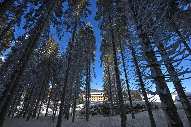 Hotel Vezzena Malga Postesina Eksteriør bilde